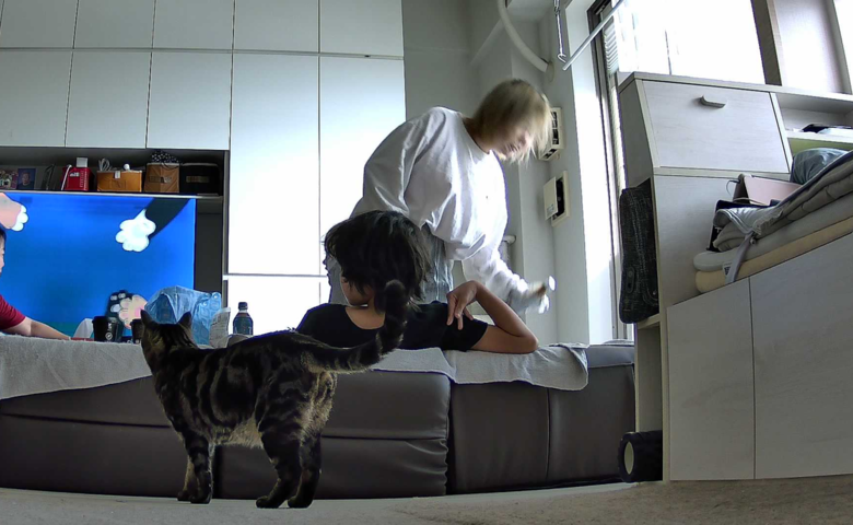 思いやりNEKO LOG 収集動画のご紹介